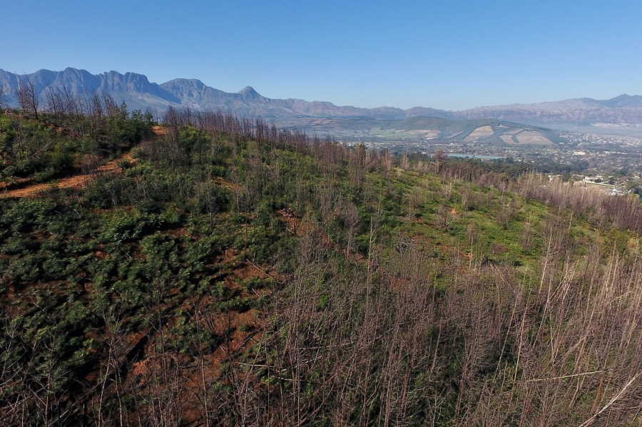0 Bedroom Property for Sale in Spanish Farm Western Cape